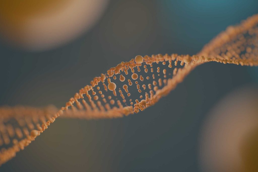 Ruolo della genetica nell’obesita’: quanto incide davvero ?